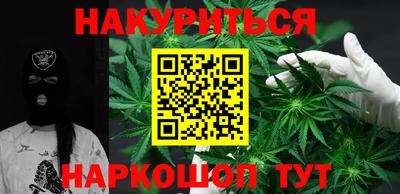 прущие крисы Гатчина