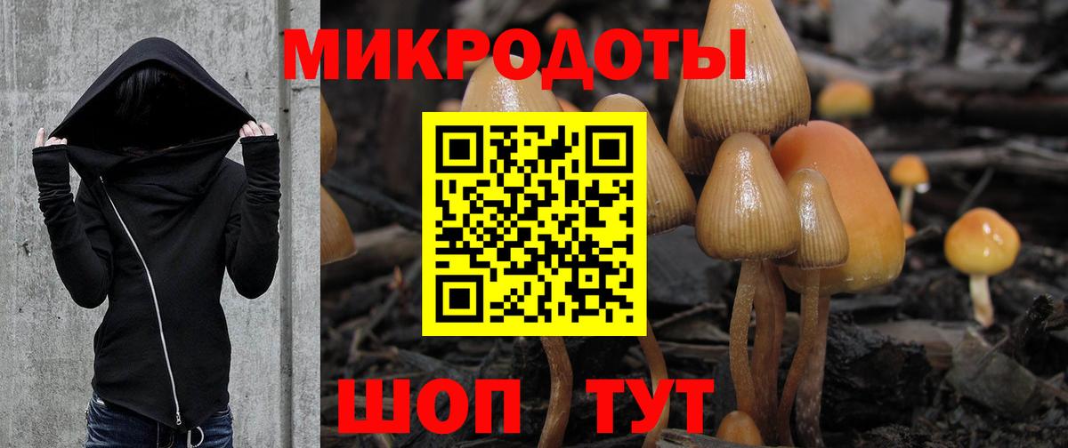 Галлюциногенные грибы Psilocybe  Псилоцибиновые грибы мицелий  Надым  Вход с VPN 